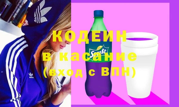 индика Алексеевка