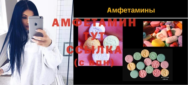 индика Алексеевка