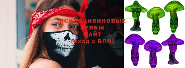 индика Алексеевка